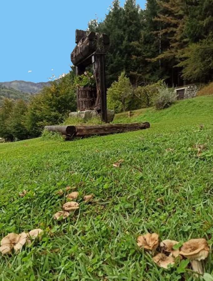 Il Bosco Di Campo Marzano Studios Borzonasca Exterior foto