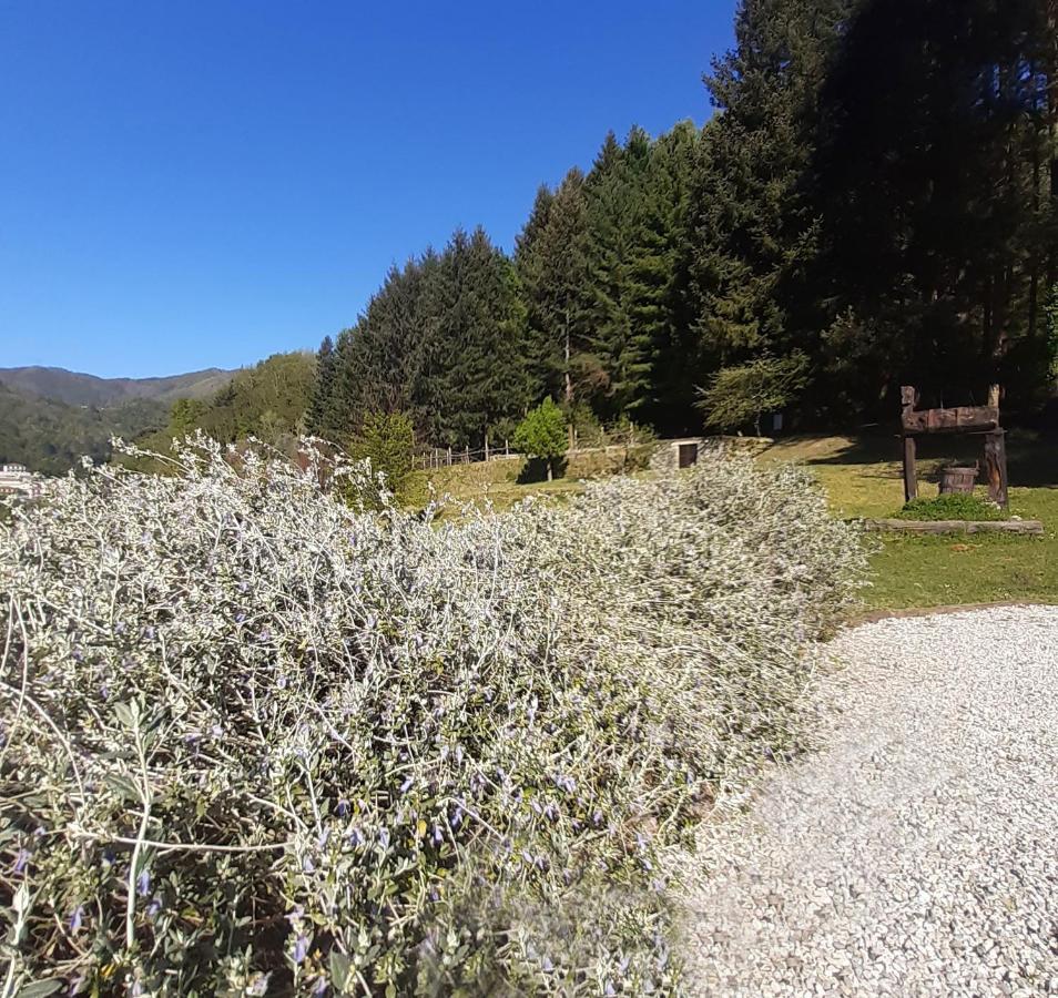 Il Bosco Di Campo Marzano Studios Borzonasca Exterior foto