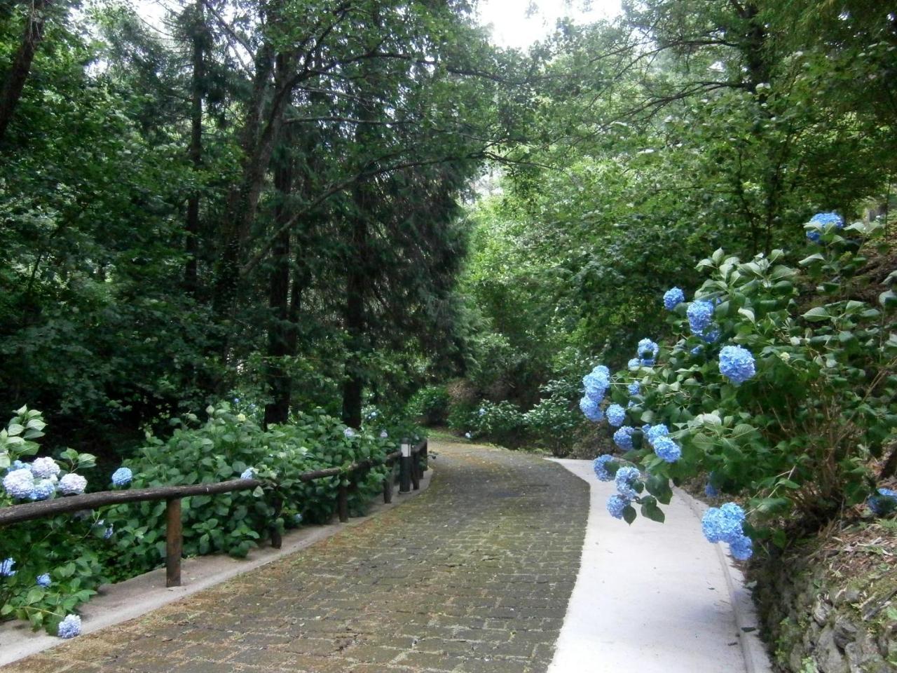 Il Bosco Di Campo Marzano Studios Borzonasca Exterior foto