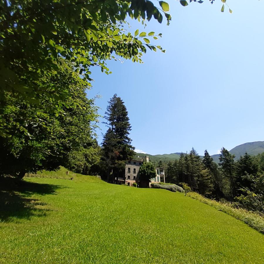Il Bosco Di Campo Marzano Studios Borzonasca Exterior foto